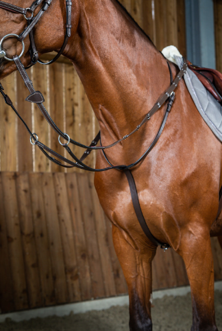 Dy'on - Martingale à anneaux