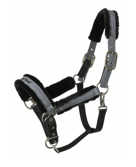 Back on Track - Licol Haze collection Back on Track - Licol Haze collection