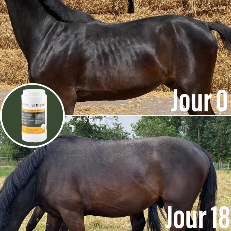 Natural' Innov - Natural Digest 1,2kg