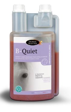 Horse Master - B Quiet Horse Master - B Quiet