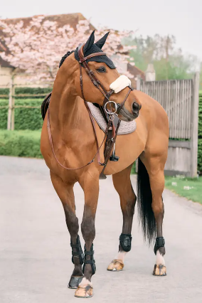 Kentucky Horsewear - Fourreau de muserolle Kentucky Horsewear - Fourreau de muserolle