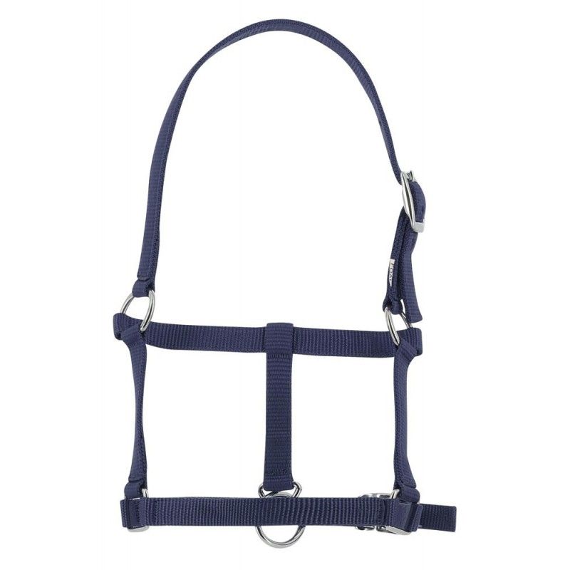 Riding World - Licol poulain Riding World - Licol poulain