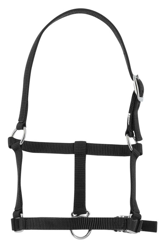 Riding World - Licol poulain
