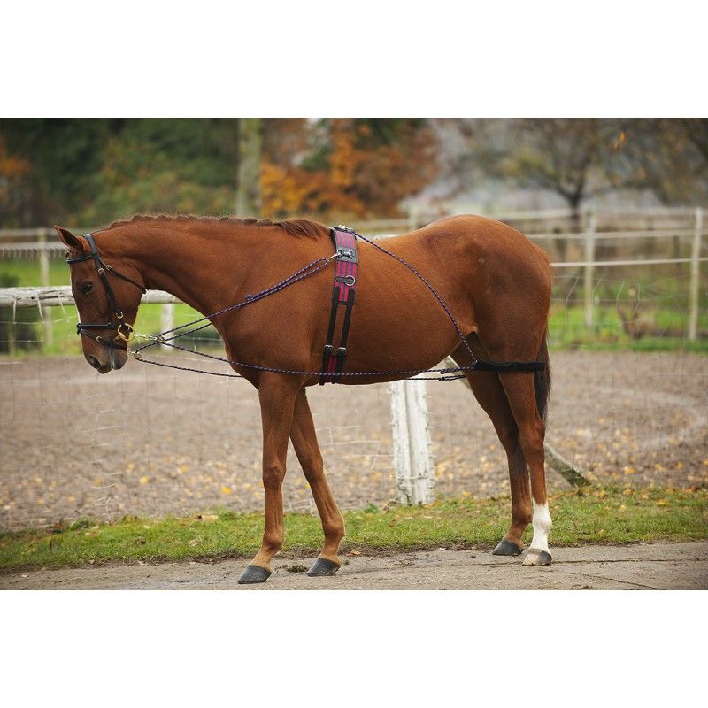 Norton - Enrênement à poulies (Pessoa) Norton - Enrênement à poulies (Pessoa)