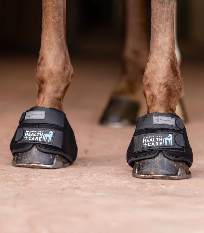 Waldhausen - Cloches rafraîchissantes Waldhausen - Cloches rafraîchissantes