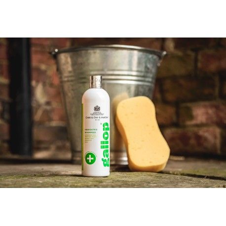 Carr Day &amp; Martin - Shampoing Gallop antibactérien