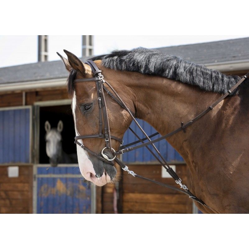 Riding World - Gogue à poulies