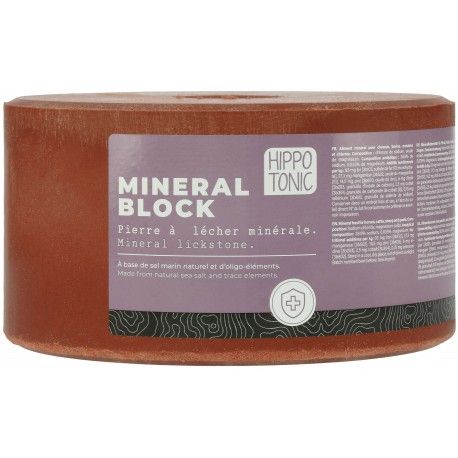 Hippotonic - Pierre à sel Mineral Block