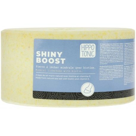 Hippotonic - Pierre à sel Shiny Boost Hippotonic - Pierre à sel Shiny Boost