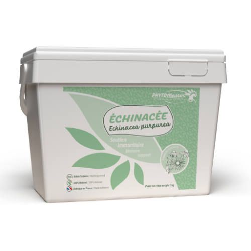 Phyto Master - Echinacée