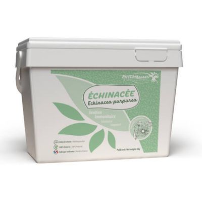 Phyto Master - Echinacée Phyto Master - Echinacée