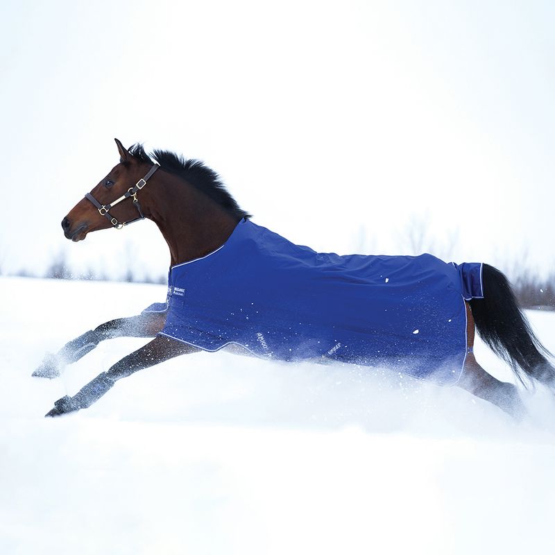 Horseware - Couverture Amigo Hero 900D lite 200g