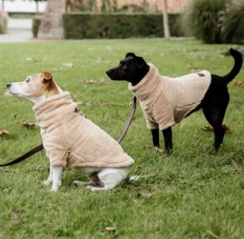 Kentucky - Pull pour chien