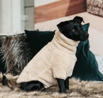 Kentucky - Pull pour chien