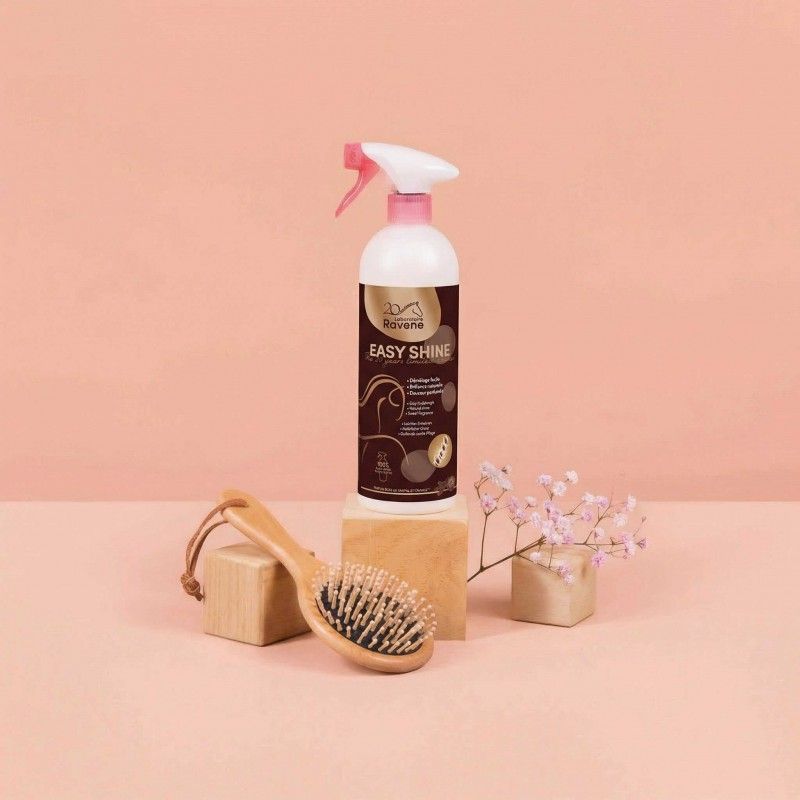 Ravene - Easy shine Edition Limitée