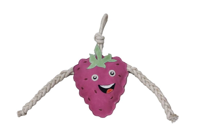 HKM - Jouet Framboise HKM - Jouet Framboise