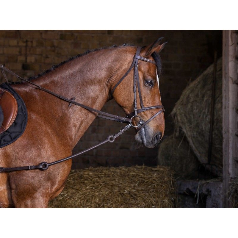 Riding World - Enrênement Pirelli