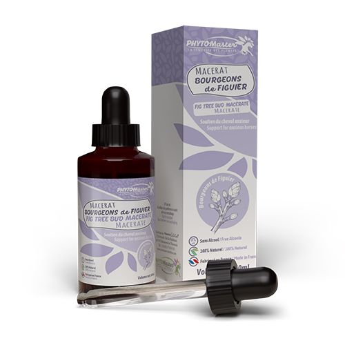 Phyto Master - Macérât de bourgeons de Figuier Phyto Master - Macérât de bourgeons de Figuier