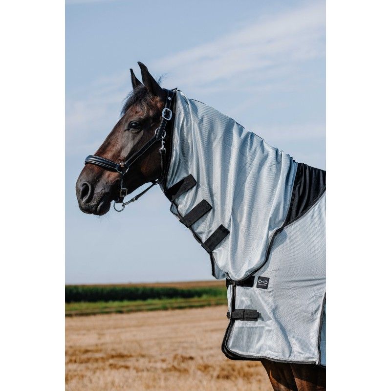 Riding World - Chemise Belly Mesh Combo