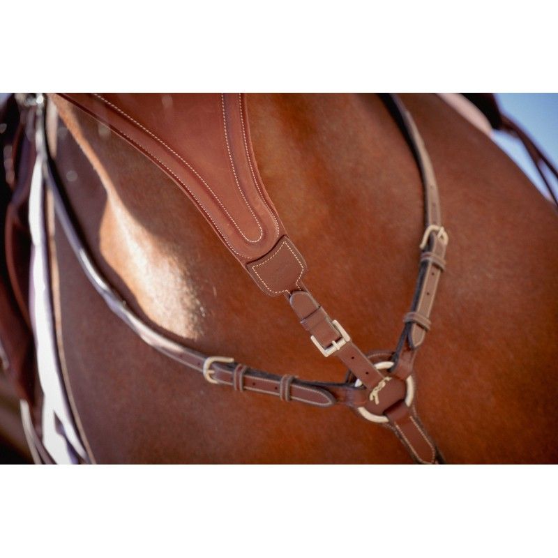 Pénélope - Flèche de martingale Big Plain Elastique