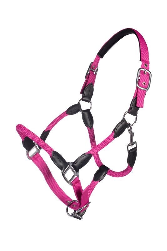 HKM - Licol Carlotta