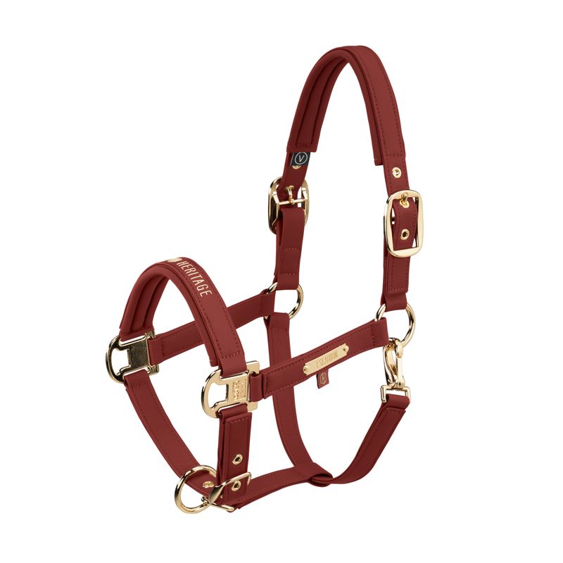 Eskadron - Licol faux leather double pin Heritage 2026 Eskadron - Licol faux leather double pin Heritage 2026