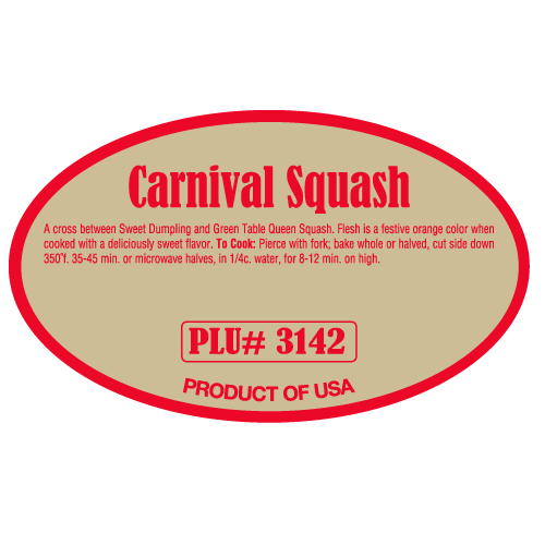 Carnival Squash