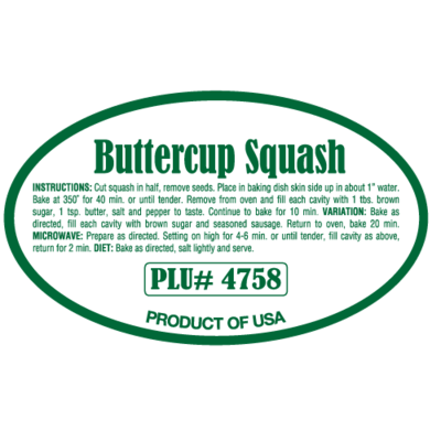 Buttercup Squash