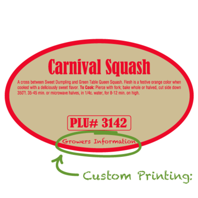 Semi-Custom Carnival Squash