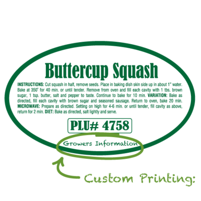 Semi-Custom Buttercup Squash