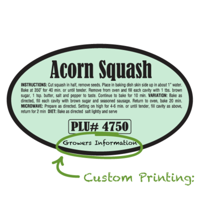 Semi-Custom Acorn Squash