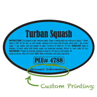 Semi-Custom Turban Squash