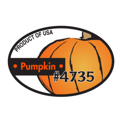 Pumpkin - Regular