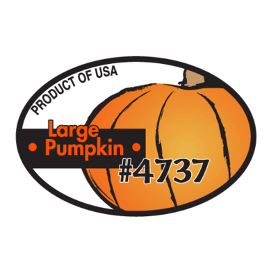 Pumpkin - Large