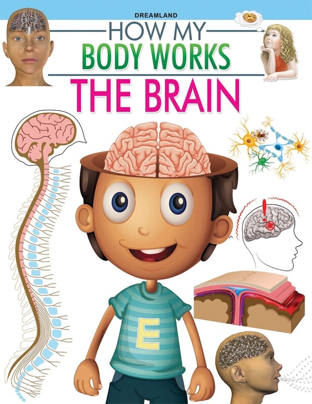 The Brain - How my body works (12-15 Years) - استعارة فقط لأعضاء  نادى اى بى ويف للعلوم و التكنولوجيا