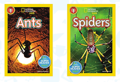 Ants and Spiders - National Geographic Set (7 -9 Years) - استعارة فقط لأعضاء  نادى اى بى ويف للعلوم و التكنولوجيا