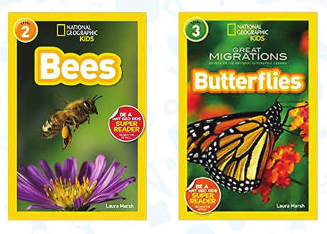 Bees and Butterflies - National Geographic Set (9-15 Years) - استعارة فقط لأعضاء  نادى اى بى ويف للعلوم و التكنولوجيا