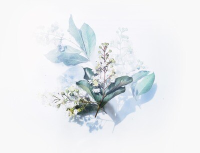 Artificial Flowers