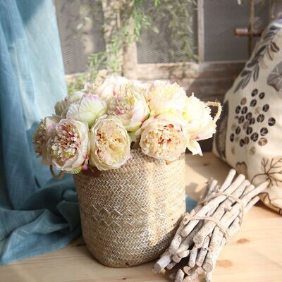 Peony Series