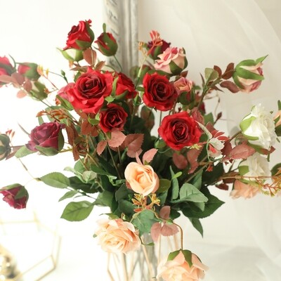 Over the water rose