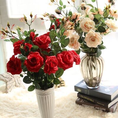 Tianfu Rose
