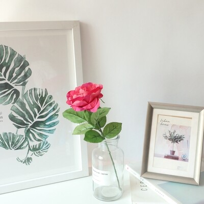 Single roses
