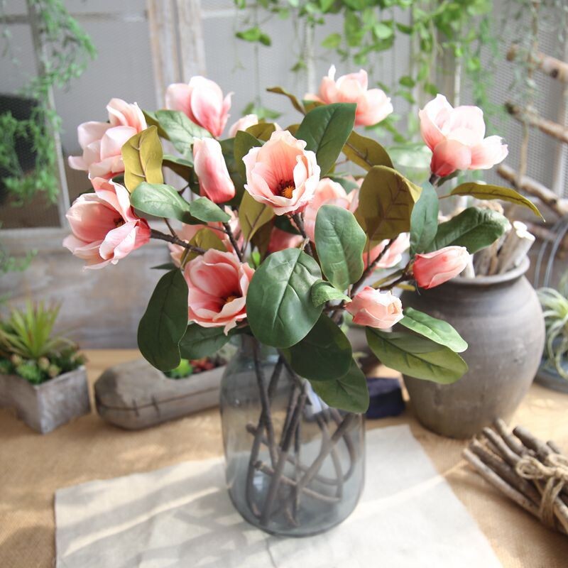 3 Magnolia branch Orchid