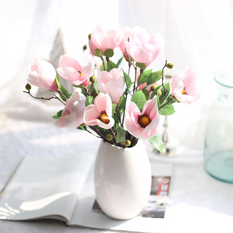 Double Magnolia Orchid