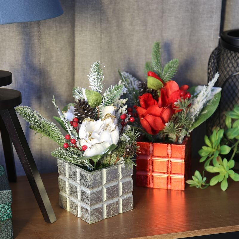 Christmas magnolia orchid bonsai