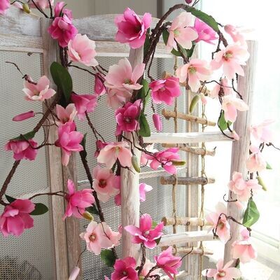 1.8m magnolia orchid cane