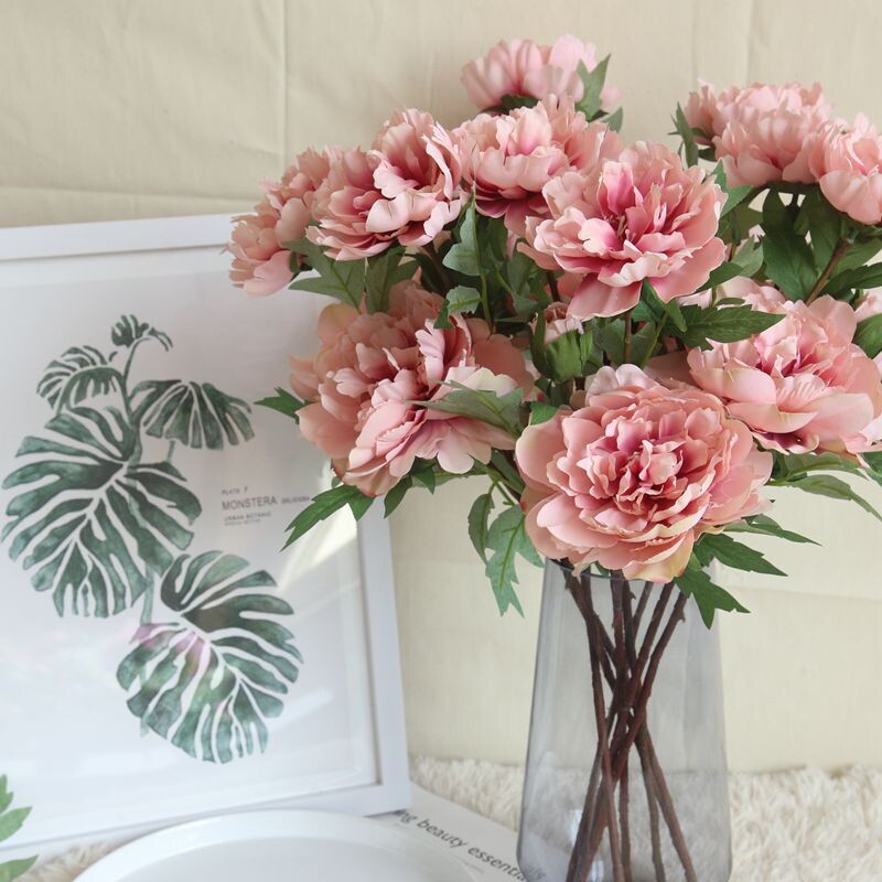 Vera Peony