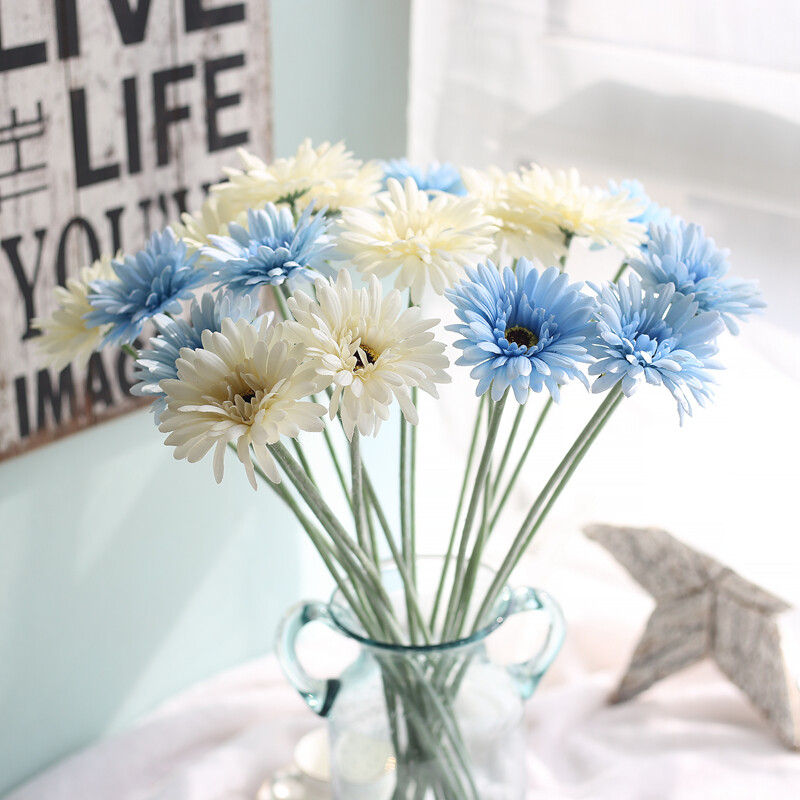 Single Gerbera chrysanthemum