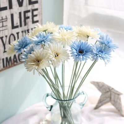 Single Gerbera chrysanthemum