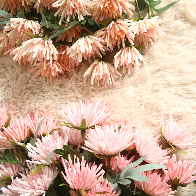 Feeling Crabweed chrysanthemum